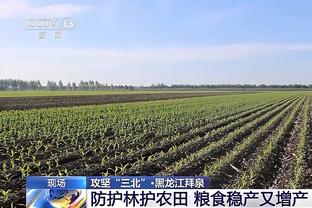 布莱顿向欧足联投诉罗马三大问题：反同性恋&进球越位&投掷杂物